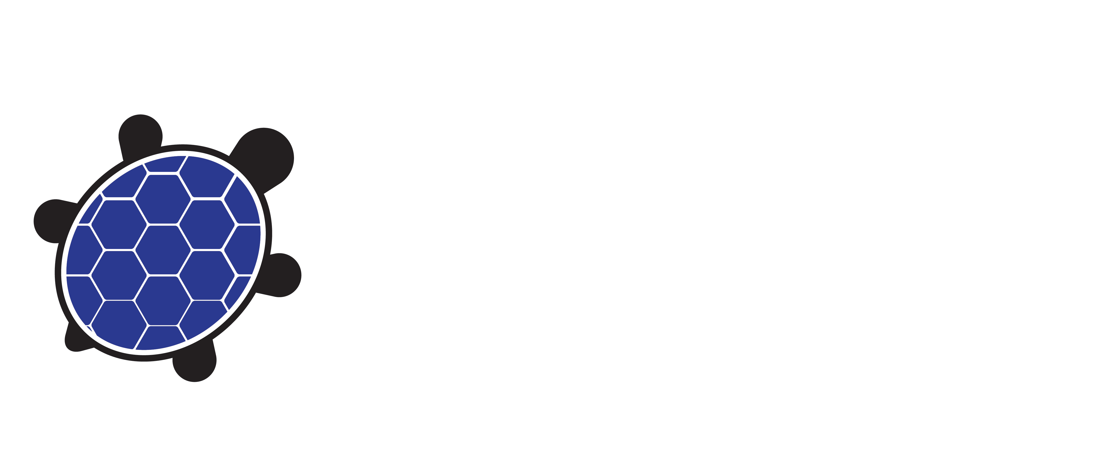 Blue Turtle Express